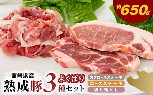 宮崎県産熟成豚 よくばり3種セットB-1（ステーキ2種 各1個/切り落とし2個）N0105-YA2285