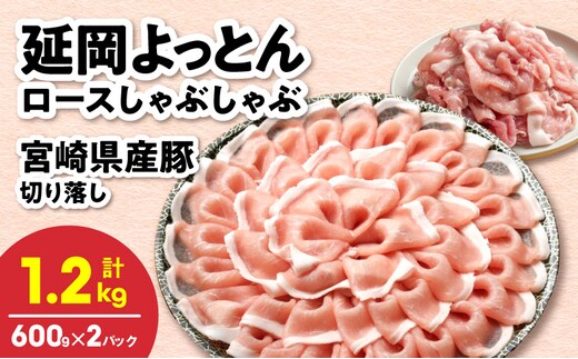 延岡よっとん＆県産豚 皿盛り2皿セット 各600g×1 N0220-YA5536
