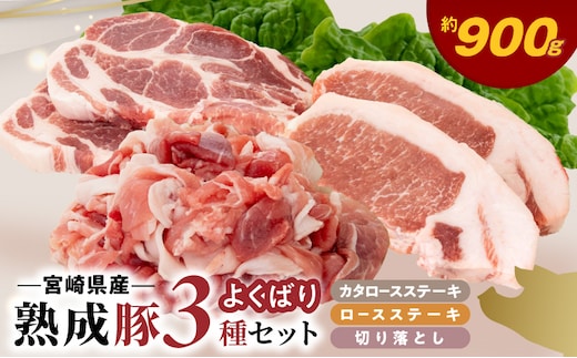 宮崎県産熟成豚 よくばり3種セットB-2（ステーキ2種 各2個/切り落とし2個）N0105-YA6608