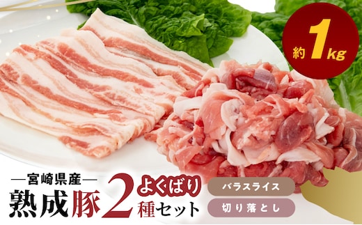 宮崎県産熟成豚 よくばり2種セットB（バラスライス3個/切り落とし2個）N0105-YA6609