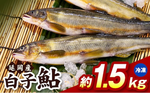 【冷凍】白子鮎約1.5kg N070-YA865-2
