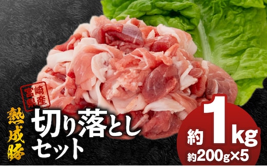 宮崎県産熟成豚 切り落としセット 約200g×5個 N0105-YA2280