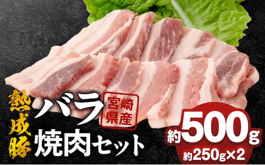 宮崎県産熟成豚 バラ焼肉セット 約250g×2個 N0105-YA2282