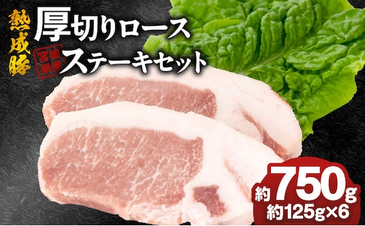 宮崎県産熟成豚 厚切りロースステーキセット 約125g×6個 N0105-YA6601