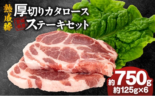 宮崎県産熟成豚 厚切りカタロースステーキセット 約125g×6個 N0105-YA699