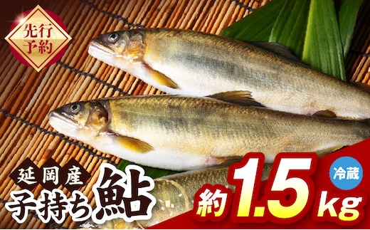 【先行予約】2026年10月下旬より発送開始【冷蔵】子持ち鮎約1.5kg N070-YB1106-1