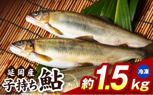 【冷凍】子持ち鮎約1.5kg N070-YB1106-2
