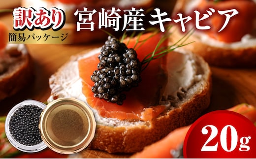 世界三大珍味 本格熟成キャビア 宮崎産キャビア 20g お試し 訳あり 簡易パッケージ N027-YB365