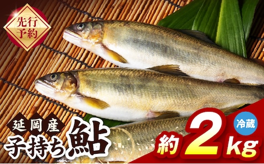 【先行予約】2026年10月下旬より発送開始【冷蔵】子持ち鮎約2kg N070-YB728-1