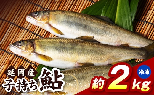【冷凍】子持ち鮎約2kg N070-YB728-2