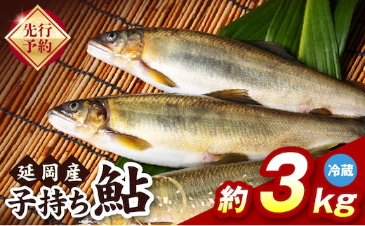 【先行予約】2026年10月下旬より発送開始【冷蔵】子持ち鮎約3kg N070-YD0265-1