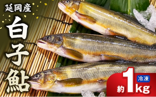 【冷凍】白子鮎 約１kg N070-YA3389-2