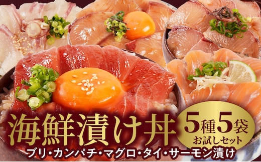 【冷凍】海鮮漬け丼5種お試しセット N019-YA192