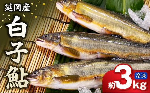 【冷凍】白子鮎 約3kg N070-YC426-2