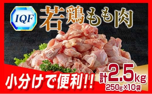 小分け 便利 カット済 若鶏 もも肉 計2.5kg 250g × 10袋 鶏肉 国産 おかず お弁当 おつまみ 食品 IQF冷凍 バラバラ凍結 チキン 簡単調理 から揚げ 唐揚げ 親子丼 チキンカレー 人気 おすすめ グルメ おすそ分け お取り寄せ 大容量 宮崎県 日南市 送料無料_BD115-25