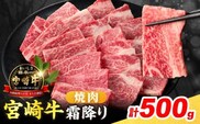 【令和8年5月配送】数量限定 宮崎牛 霜降り 焼肉 計500g 肉質等級4等級以上 牛肉 黒毛和牛 国産 食品 おかず 最高級 ブランド牛 焼き肉 BBQ バーベキュー キャンプ 人気 おすすめ 記念日 贈り物 お取り寄せ ミヤチク 宮崎県 日南市 送料無料_C160-25-05