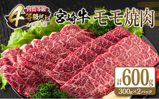 宮崎牛 モモ 焼肉 計600g 牛肉 ビーフ 黒毛和牛 赤身肉 国産 ブランド牛 おすすめ BBQ グランピング 鉄板焼き おもてなし ご褒美 お祝い 記念日 おすそ分け おかず おつまみ お弁当 お取り寄せ グルメ 4等級以上 A4ランク以上 冷凍 宮崎県 日南市 送料無料_CC67-25