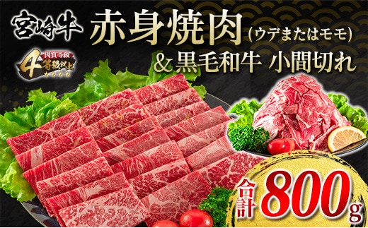 宮崎牛 赤身 焼肉 黒毛和牛 小間切れ セット 合計800g 牛肉 ビーフ 国産 うで もも ブランド牛 人気 おすすめ 万能食材 食品 お取り寄せ グルメ 詰め合わせ 贅沢 ご褒美 お祝い 記念日 おかず 弁当 おつまみ BBQ 鉄板焼き おすそ分け 宮崎県 日南市 送料無料_DA20-23