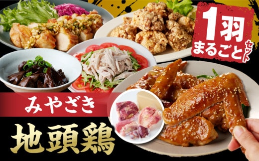 数量限定 みやざき地頭鶏 1羽まるごとセット 肉 鶏肉 国産 食品 小分け 食べ比べ もも むね ささみ 手羽先 手羽元 砂肝 レバー おかず おつまみ お弁当 晩ご飯 から揚げ サラダ 真空パック 冷凍 おすすめ ギフト 贈り物 贈答 宮崎県 日南市 送料無料_DC22-24