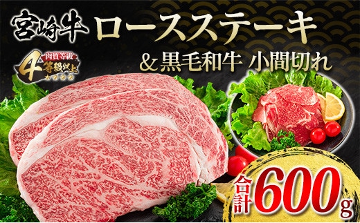 宮崎牛 ロース ステーキ 黒毛和牛 小間切れ セット 合計600g 牛肉 ビーフ 国産 万能食材 ブランド牛 おかず お弁当 おつまみ 食品 おすすめ 焼肉 バーベキュー 鉄板焼き 高級 ご褒美 お祝 記念日 お取り寄せ グルメ 冷凍 詰め合わせ 宮崎県 日南市 送料無料_F62-21