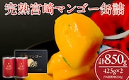 完熟 宮崎 マンゴー 缶詰 2缶 セット フルーツ 果物 くだもの 果汁 完熟マンゴー おすすめ おすそ分け おやつ デザート 贅沢 お菓子 マンゴータルト フルーツポンチ 食品 加工品 国産 南国 常温 ギフト 贈り物 お土産 プレゼント 宮崎県 日南市 送料無料_FF8-24