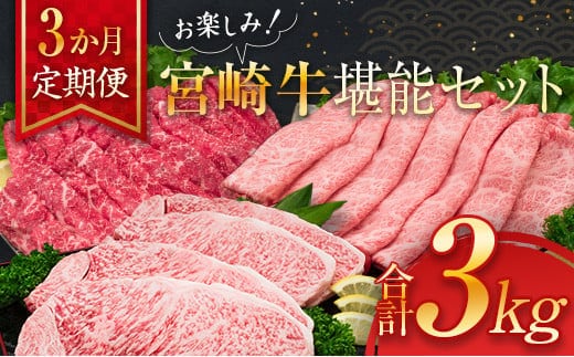 3か月 お楽しみ 定期便 宮崎牛 堪能 セット 合計3kg 牛肉 黒毛和牛 国産 ブランド牛 ミヤチク 肩ロース モモ ステーキ スライス しゃぶしゃぶ すき焼き 焼肉 4等級以上 高級 贅沢 ご褒美 お祝 記念日 おかず お取り寄せ グルメ 食品 宮崎県 日南市 送料無料_L9-25