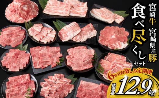 6か月 お楽しみ 定期便 宮崎牛 宮崎県産豚 食べ尽くし セット 総重量12.9kg 数量限定 6回 肉 牛肉 豚肉 国産 食品 黒毛和牛 小分け ロース 豚バラ 小間切れ スライス 焼肉 しゃぶしゃぶ すき焼き おかず 冷凍 おすすめ ギフト 宮崎県 日南市 送料無料_P1-24