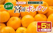 年内発送 訳あり 宮浦 ポンカン 計5kg以上 先行予約 期間限定 数量限定 フルーツ 果物 くだもの 柑橘 みかん 蜜柑 わけあり 国産 食品 おやつ デザート みかんジュース おすすめ ご家庭用 不揃い おすそ分け 産地直送 宮崎県 日南市 送料無料_AV5-25