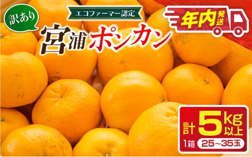 年内発送 訳あり 宮浦 ポンカン 5kg 先行予約 フルーツ 果物 くだもの 柑橘 みかん 蜜柑 ワケアリ 不揃い 国産 食品 おやつ デザート みかんジュース おすすめ 旬 ご家庭用 自宅用 傷 おすそ分け 産地直送 選べる 宮崎県 日南市 送料無料_AAV23-26