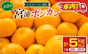年内発送 訳あり 宮浦 ポンカン 5kg 先行予約 フルーツ 果物 くだもの 柑橘 みかん 蜜柑 ワケアリ 不揃い 国産 食品 おやつ デザート みかんジュース おすすめ 旬 ご家庭用 自宅用 傷 おすそ分け 産地直送 選べる 宮崎県 日南市 送料無料_AAV23-26