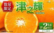 先行予約 津之輝 つのかがやき 2kg以上 (2kg×1箱) 希少 期間限定 数量限定 フルーツ 果物 くだもの 柑橘 みかん 令和8年発送 国産 食品 おすすめ デザート おやつ みかんジュース フルーツサンド ギフト 贈り物 贈答 おすそ分け 宮崎県 日南市 送料無料_A79-23