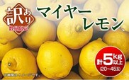 訳あり 先行予約 数量限定 マイヤーレモン 計5kg以上 フルーツ 果物 柑橘 レモン 檸檬 オレンジ 人気 おすすめ おすそ分け お土産 プレゼント お取り寄せ グルメ 国産 食品 デザート スイーツ ブランド 希少 特産品 産地直送 宮崎県 日南市 送料無料_A89-23