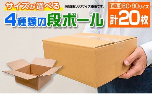 サイズが選べる 4種類 段ボール 計20枚 日用品 雑貨 ダンボール 箱 規定サイズ 紙製品 引っ越し 整理 収納 片付け 荷造り 新生活 包装資材 梱包 資材 外装材 パッケージ 工作 仕送り 品物発送 書類発送 おすすめ 事務用品 宮崎県 日南市 送料無料_AA52-23