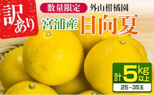 先行予約 訳あり 宮浦産 日向夏 計5kg以上 期間限定 数量限定 フルーツ 果物 くだもの 柑橘 みかん 令和8年発送 国産 産地直送 新鮮 食品 ジュース デザート フルーツサンド おやつ ご褒美 おすそ分け ご家庭用 宮崎県 日南市 送料無料_AAV12-25