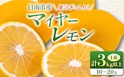 マイヤーレモン 計3kg以上 希少 国産レモン 果物 くだもの フルーツ 檸檬 柑橘 おすすめ ジュース 飲み物 サラダ 調味料 焼肉 バーベキュー BBQ デザート おすそ分け 産地直送 食品 贈り物 お土産 宮崎県 日南市 送料無料_AV3-25