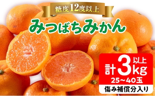 先行予約 みつばちみかん 計3kg以上 傷み補償分入り 果物 くだもの フルーツ 蜜柑 ミカン 柑橘 オレンジ おやつ デザート みかんジュース 飲み物 小ぶり おすすめ おすそ分け 国産 食品 産地直送 贈り物 お土産 宮崎県 日南市 送料無料_AAV9-25