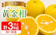 先行予約 新感覚シトラス 黄金柑 おうごんかん 計3kg以上 令和9年発送 希少 果物 くだもの フルーツ 国産 食品 柑橘 みかん 蜜柑 ゴールデンオレンジ デザート おやつ おすすめ おすそ分け 手土産 ギフト 贈り物 宮崎県 日南市 送料無料_AAV8-25