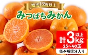 先行予約 みつばちみかん 計3kg以上 傷み補償分入り 果物 くだもの フルーツ 蜜柑 ミカン 柑橘 オレンジ おやつ デザート みかんジュース 飲み物 小ぶり おすすめ おすそ分け 国産 食品 産地直送 贈り物 お土産 宮崎県 日南市 送料無料_AAV9-25