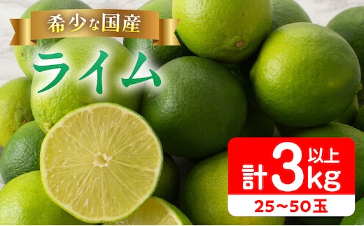 先行予約 皮まで使える ライム 計3kg以上 希少 国産ライム 果物 くだもの フルーツ 柑橘 おすすめ 塩ライム ジュース 飲み物 サラダ 調味料 焼肉 バーベキュー BBQ デザート おすそ分け 産地直送 食品 お土産 宮崎県 日南市 送料無料_AA75-26