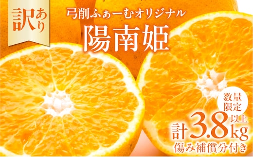先行予約 訳あり オリジナル ブランド 陽南姫 計3.8kg以上 傷み補償分入り 令和8年発送 期間限定 数量限定 フルーツ 果物 くだもの 柑橘 みかん 訳アリ 家庭用 不揃い 傷 規格外 国産 食品 デザート ジュース おやつ 希少 おすすめ 宮崎県 日南市 送料無料_AAV4-25