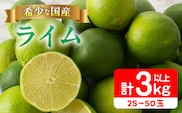 先行予約 皮まで使える ライム 計3kg以上 希少 国産ライム 果物 くだもの フルーツ 柑橘 おすすめ 塩ライム ジュース 飲み物 サラダ 調味料 焼肉 バーベキュー BBQ デザート おすそ分け 産地直送 食品 お土産 宮崎県 日南市 送料無料_AA75-26
