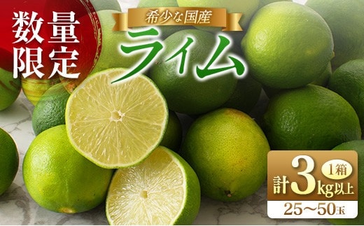 先行予約 皮まで使える ライム 計3kg以上 希少 国産ライム 果物 くだもの フルーツ 柑橘 期間限定 数量限定 おすすめ 塩ライム ジュース 飲み物 サラダ 調味料 焼肉 バーベキュー BBQ デザート おすそ分け 産地直送 食品 お土産 宮崎県 日南市 送料無料_AA75-26