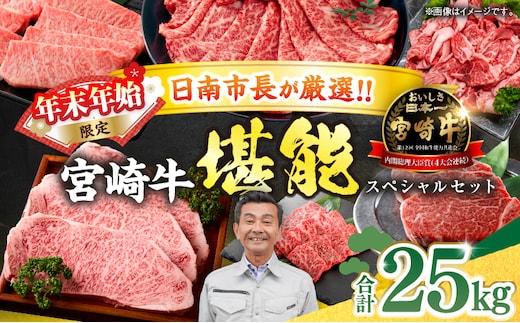 ≪年末年始限定≫日南市長厳選!! 宮崎牛 堪能 セット 合計25kg 期間限定 数量限定 肉 牛肉 ステーキ 焼肉 スライス すき焼き しゃぶしゃぶ ヒレ ロース バラ ウデ モモ 希少部位 大容量 黒毛和牛 国産 赤身肉 霜降り 食べ比べ 牛丼 おすすめ 宮崎県 送料無料_AW3-25