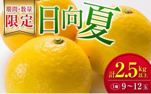 毎年大好評!!宮崎を代表するフルーツ 日向夏 計2.5kg以上 化粧箱入り 期間限定 数量限定 先行予約 2026 令和8年発送 果物 くだもの 柑橘 みかん みかんジュース デザート 国産 食品 おすすめ ギフト 贈り物 贈答 おすそ分け お祝い 宮崎県 日南市 送料無料_B214-23