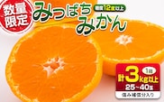先行予約 みつばちみかん 計3kg以上 傷み補償分入り 期間限定 数量限定 果物 くだもの フルーツ 蜜柑 ミカン 柑橘 オレンジ おやつ デザート みかんジュース 飲み物 小ぶり おすすめ おすそ分け 国産 食品 産地直送 贈り物 お土産 宮崎県 日南市 送料無料_AAV9-25