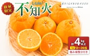 先行予約 不知火 計4kg以上 傷み補償分付き 期間限定 数量限定 フルーツ 果物 くだもの 柑橘 みかん しらぬい 令和8年発送 おやつ デザート ジュース 国産 食品 おすすめ ご褒美 産地直送 プレゼント ギフト 贈り物 ネイバーフッド 宮崎県 日南市 送料無料_AAV11-25