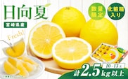 先行予約 日向夏 計2.5kg以上 化粧箱入り 期間限定 数量限定 果物 フルーツ くだもの 柑橘 みかん 令和8年発送 ジュース フルーツサンド おやつ デザート 国産 食品 おすすめ ギフト 贈り物 贈答 おすそ分け お祝い お返し 宮崎県 日南市 送料無料_B216-23