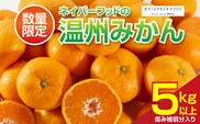 ネイバーフッド 温州みかん 計5kg以上 傷み補償分入り 期間限定 数量限定 フルーツ 果物 くだもの ミカン 柑橘 オレンジ 人気 国産 食品 デザート おやつ おすすめ 産地直送 おすそ分け ギフト 贈り物 特産品 宮崎県 日南市 送料無料_B260-26