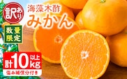 訳あり 数量限定 海藻木酢みかん 計 10kg 以上 傷み補償分入り フルーツ 果物 くだもの 柑橘 みかん 国産 期間限定 みかんジュース 食品 家庭用 自宅用 B品 わけあり オレンジ デザート おやつ おすすめ おすそ分け ご褒美 産地直送 宮崎県 日南市 送料無料_BBV4-25