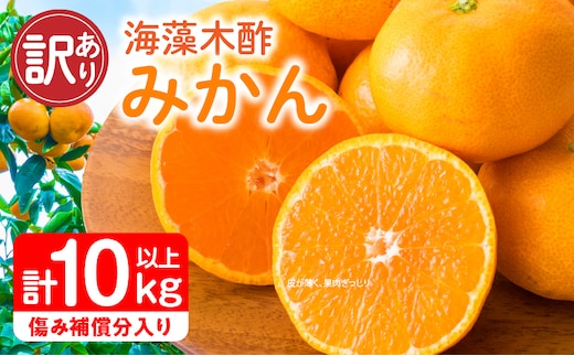 訳あり 海藻木酢みかん 計 10kg 以上 傷み補償分入り フルーツ 果物 くだもの 柑橘 みかん 国産 みかんジュース 食品 家庭用 自宅用 B品 わけあり オレンジ デザート おやつ おすすめ おすそ分け ご褒美 産地直送 宮崎県 日南市 送料無料_BBV4-25